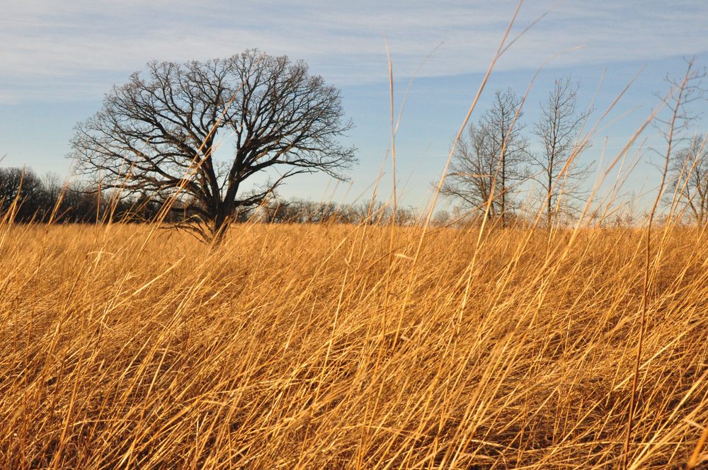 SEVERSON DELLS NATURE CENTER 26 Photos 8786 Montague Rd, Rockford