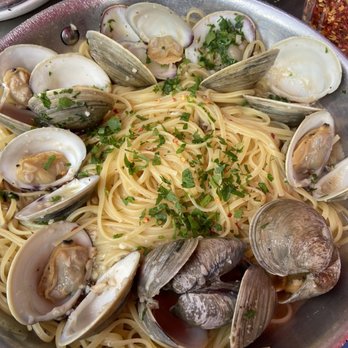 The Daily Catch - Vongole - Italian Near Me - Boston, Massachusetts