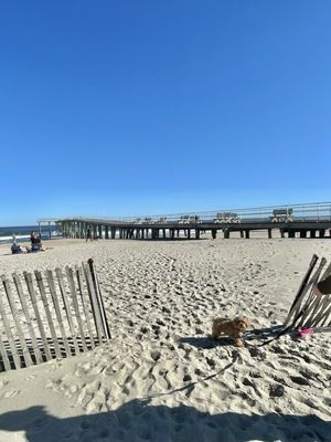 Ocean Grove Pier by null
