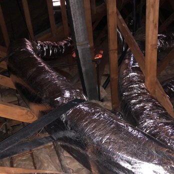 Pure Eco - After picture - Insulation Installation Near Me - Encino, California Pure Eco - After picture - Insulation Installation Near Me - Encino, California