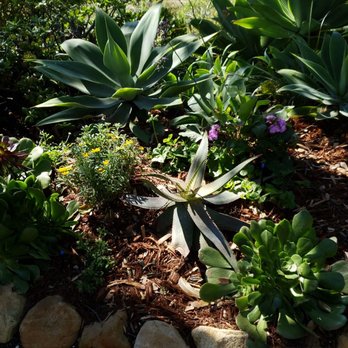 Sublime Gardens - Landscaping Near Me Sublime Gardens - Landscaping Near Me