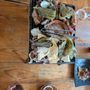 Photo of Los Agaves