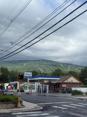 The Hatchery by null