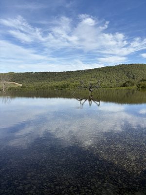 Château La Coste by null