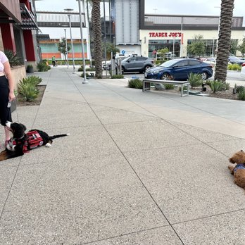 Karma Dog Training - Pet Training Near Me
