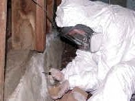 Bay Mold - mold inspector in San Francisco, CA