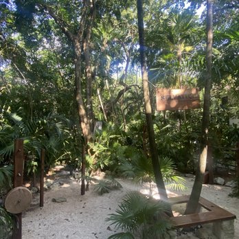 The Reef Playacar - Hotels Near Me - Playa del Carmen, ROO The Reef Playacar - Hotels Near Me - Playa del Carmen, ROO