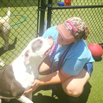 Pet Paradise Charlotte Airport - Pet Training Near Me - Charlotte, North Carolina Pet Paradise Charlotte Airport - Pet Training Near Me - Charlotte, North Carolina