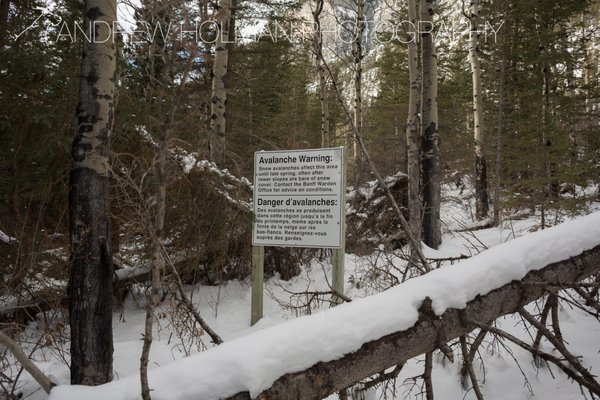 Cascade Mountain by null