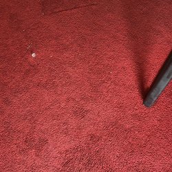 Feather Nest Inn - Carpet
