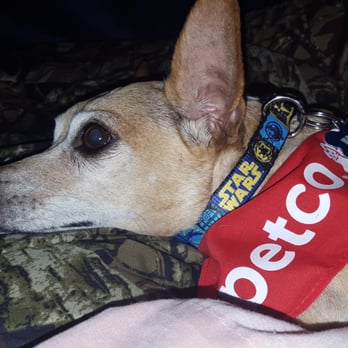Petco - Kazi loves the girls at Petco grooming salon! - Pet Stores Near Me - Ventura, California