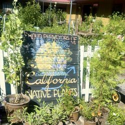 The Garden - The outside. Absolutely adorable