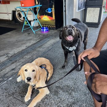 Rochester Beer and Park - So dog friendly!!!! Ty and Coop - Beer Bar Near Me - Rochester, New York Rochester Beer and Park - So dog friendly!!!! Ty and Coop - Beer Bar Near Me - Rochester, New York