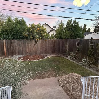 Tony's All Tree Service - Bush removal - Tree Services Near Me