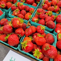 South Waterfront Farmers Market