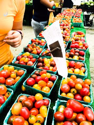 Jackson Heights Greenmarket by null