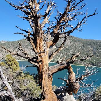 June Lake - Lakes Near Me