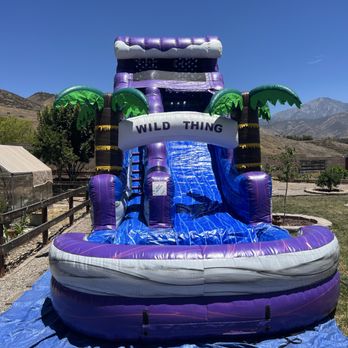 Lil Jumps Big Slides - Bounce House Rentals Near Me Lil Jumps Big Slides - Bounce House Rentals Near Me