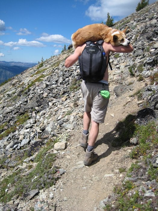 Mount Aix Trail Logo