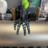 True Anomaly Brewing Company gift card