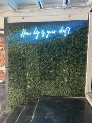 Austin Daiquiri Factory by null