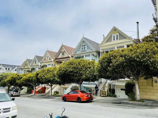 The Painted Ladies by null