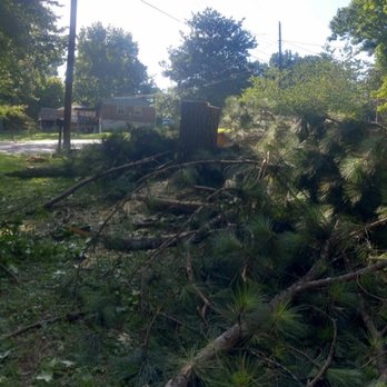 Young King’s Enterprises - Cutting down the tree - Painters Near Me