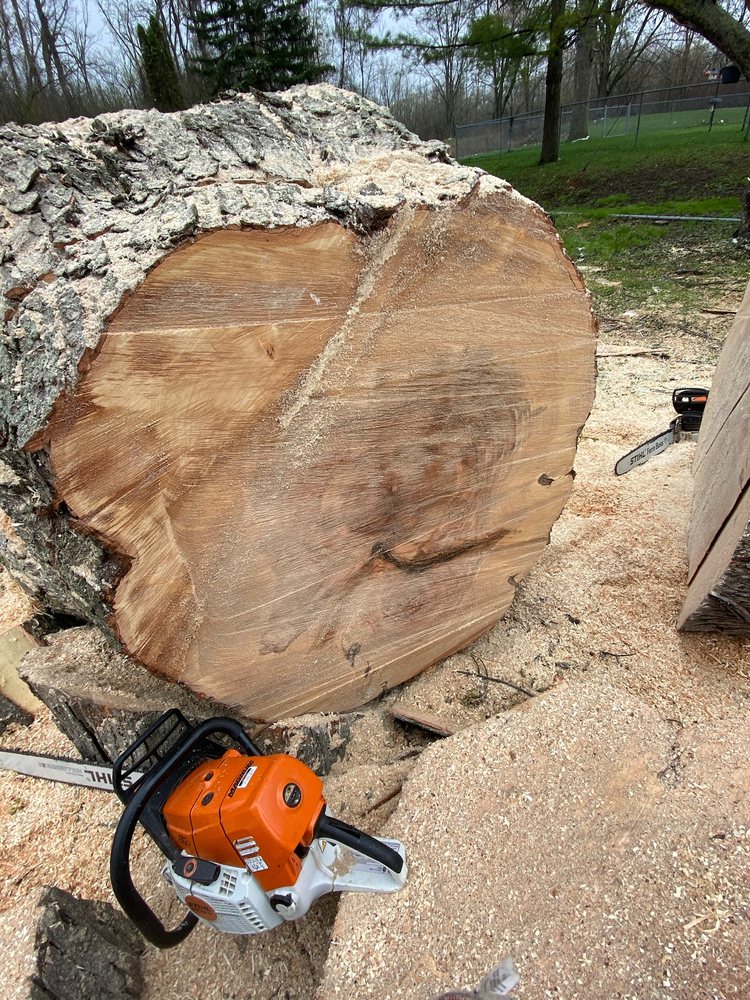 Your Friendly Neighbor Landscaping & Tree Service - tree service in Milwaukee, WI