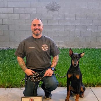 Restored k-9 Academy - Pet Training Near Me Restored k-9 Academy - Pet Training Near Me