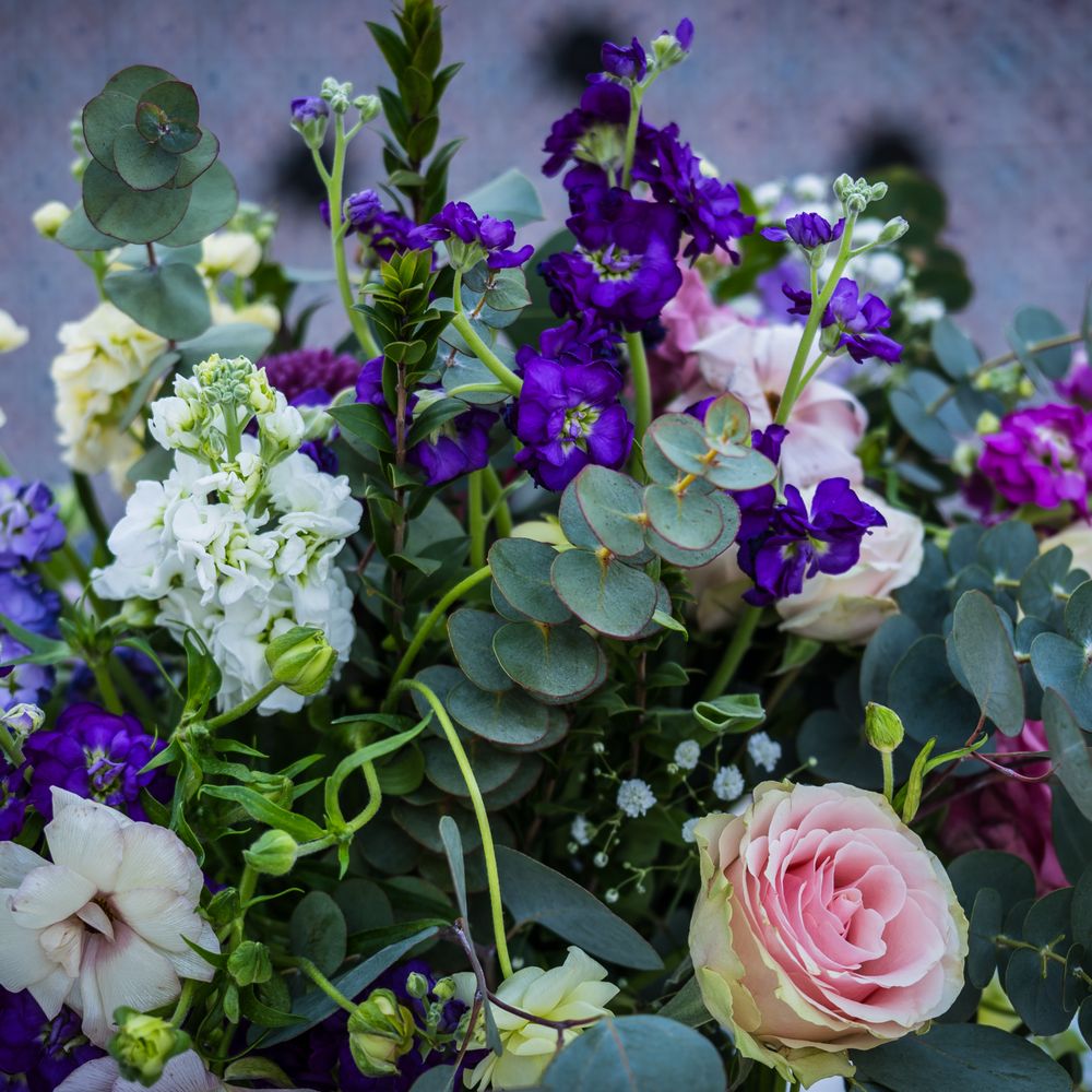 Eliza Bloomz - Floral Designers Near Me Eliza Bloomz - Floral Designers Near Me
