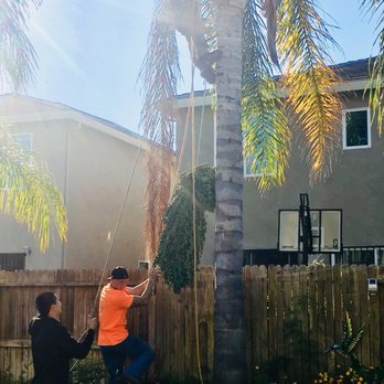 Robert's Tree Care - Tree Services Near Me - Stockton, California