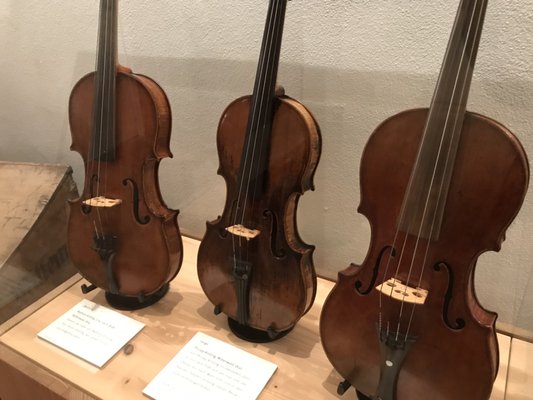 Geigenbaumuseum by null