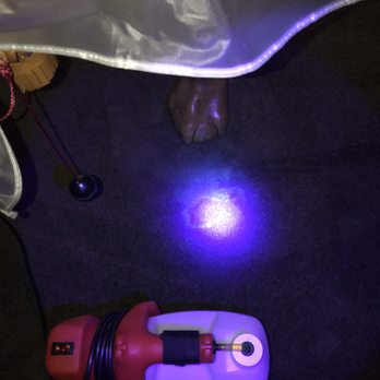 Roanoke Valley Cleaning Team - Flush reflection of urine with special light - Carpet Cleaning Near Me Roanoke Valley Cleaning Team - Flush reflection of urine with special light - Carpet Cleaning Near Me