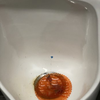 YouFit Gyms - Urinal awful - Gyms Near Me - Pembroke Pines, Florida YouFit Gyms - Urinal awful - Gyms Near Me - Pembroke Pines, Florida