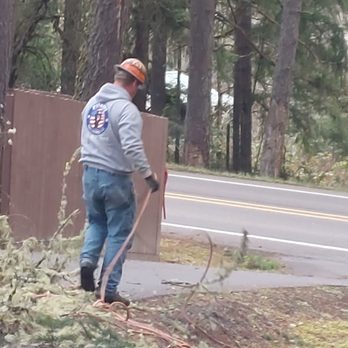 Patriot Tree Service - Tree Services Near Me Patriot Tree Service - Tree Services Near Me