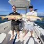 Photo of Day 5 Charters