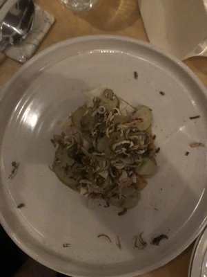 Faux bergers by null