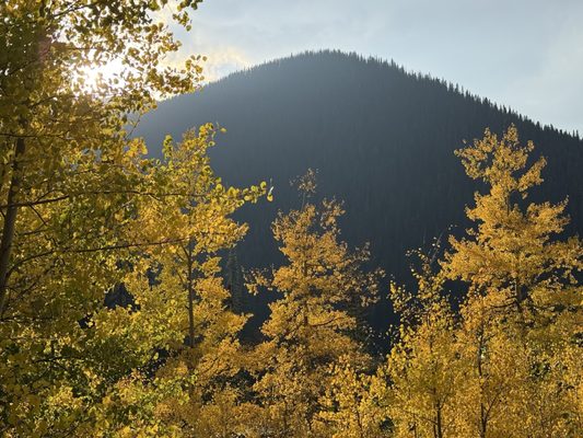 Miette Hot Springs by null