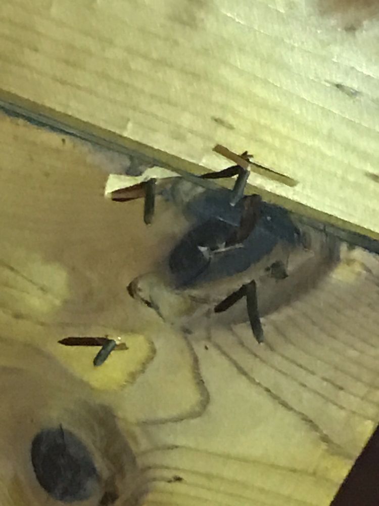 Slide of ECR Roofing & Solar