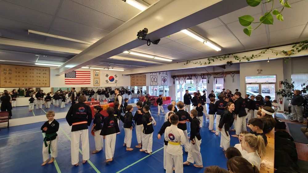 Hwa Rang Do Martial Art Academy Logo