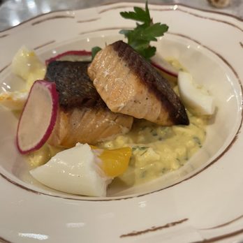 Paradiso - Salmon - Bars Near Me - Dallas, Texas Paradiso - Salmon - Bars Near Me - Dallas, Texas