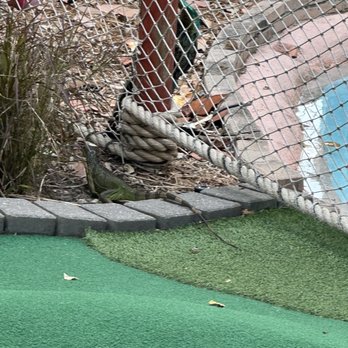 Putt'n Around - Mini Golf Near Me - Delray Beach, Florida