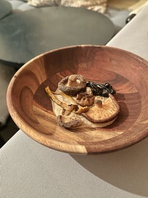 Honey Badger by null Honey Badger by null