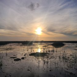 Epic Airboat Tours - Sunset in the Everglades.!!