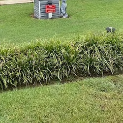 TruGreen Lawn Care - Build turf nutrition into your seasonal routine with TruGreen's lawn fertilization in Fayetteville, NC, and nearby Spring Lake.