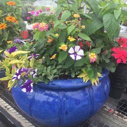 Cross Creek Nursery - Custom designed and