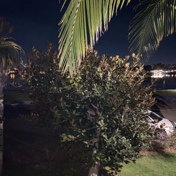 Bahia Resort Hotel - Trees block the whole view! - San Diego, CA