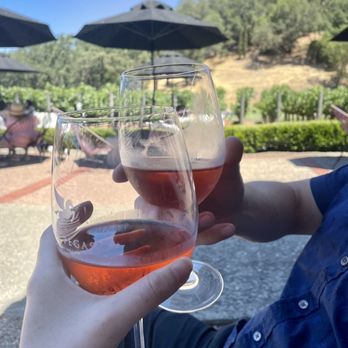 Clos Pegase Winery - Rose tasting - Venues & Event Spaces Near Me - Calistoga, California