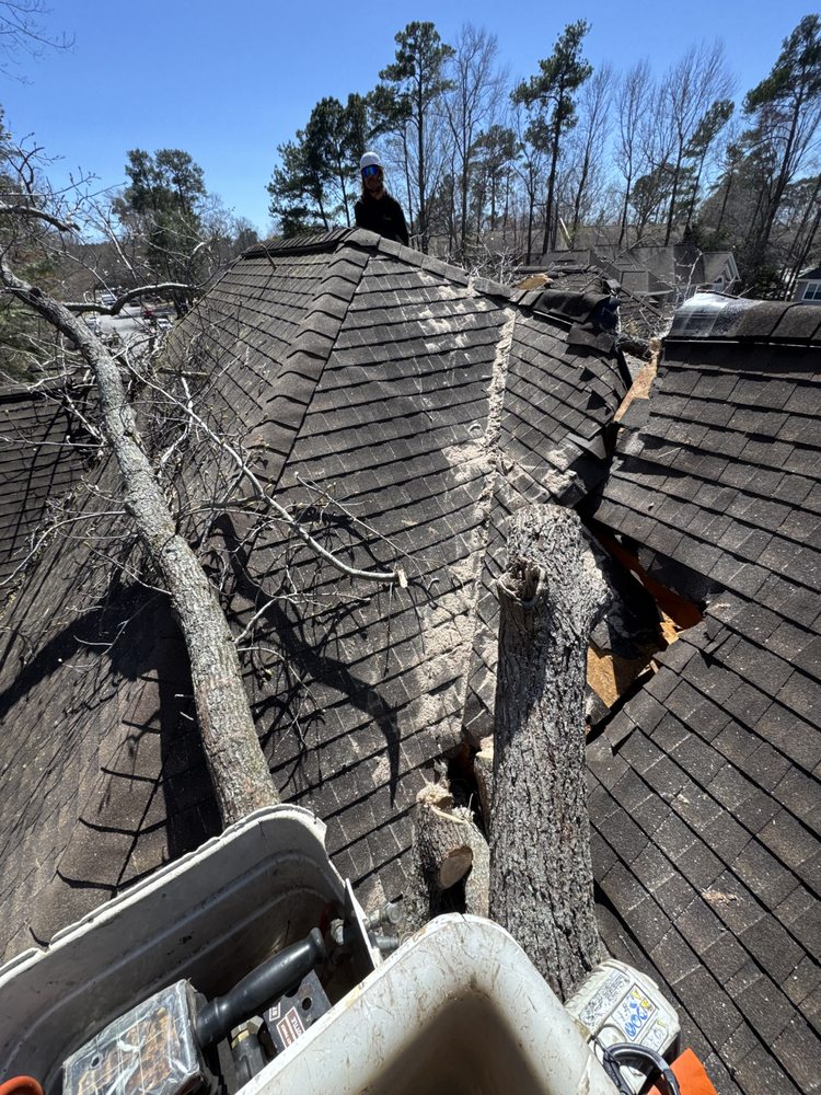 Affordable Tree Service & Firewood - tree service in Chesapeake, VA