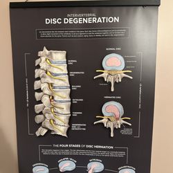 Chiropractic Works - Education